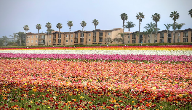 Carlsbad, CA